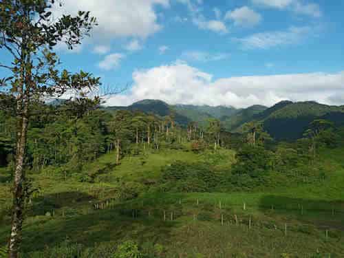 Blue views - Blue Falls of Costa Rica