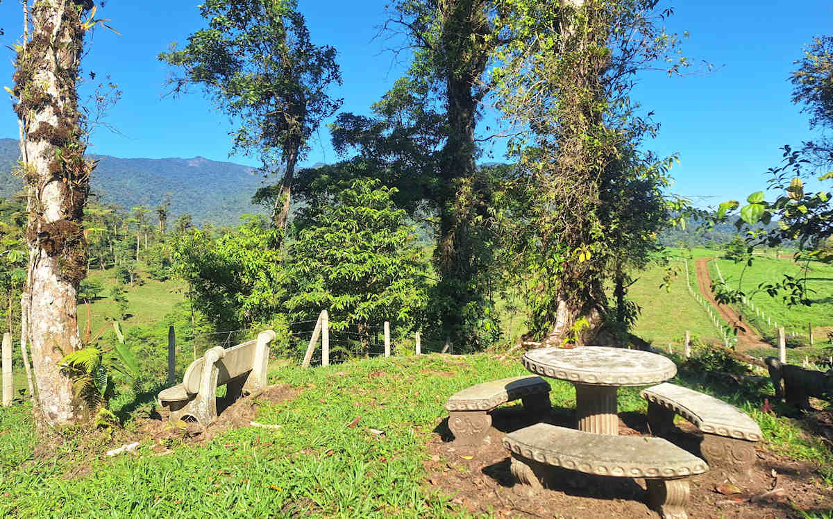 picnic los pericos